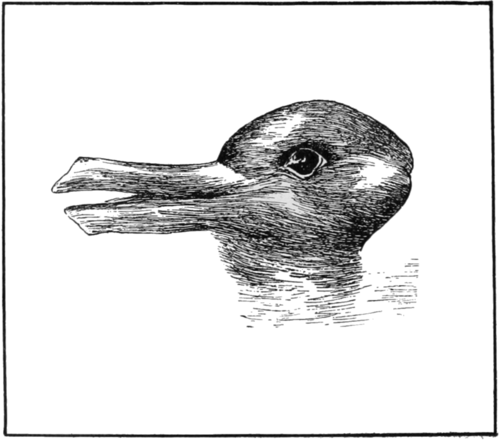 Duck or rabbit, we draw you decide.